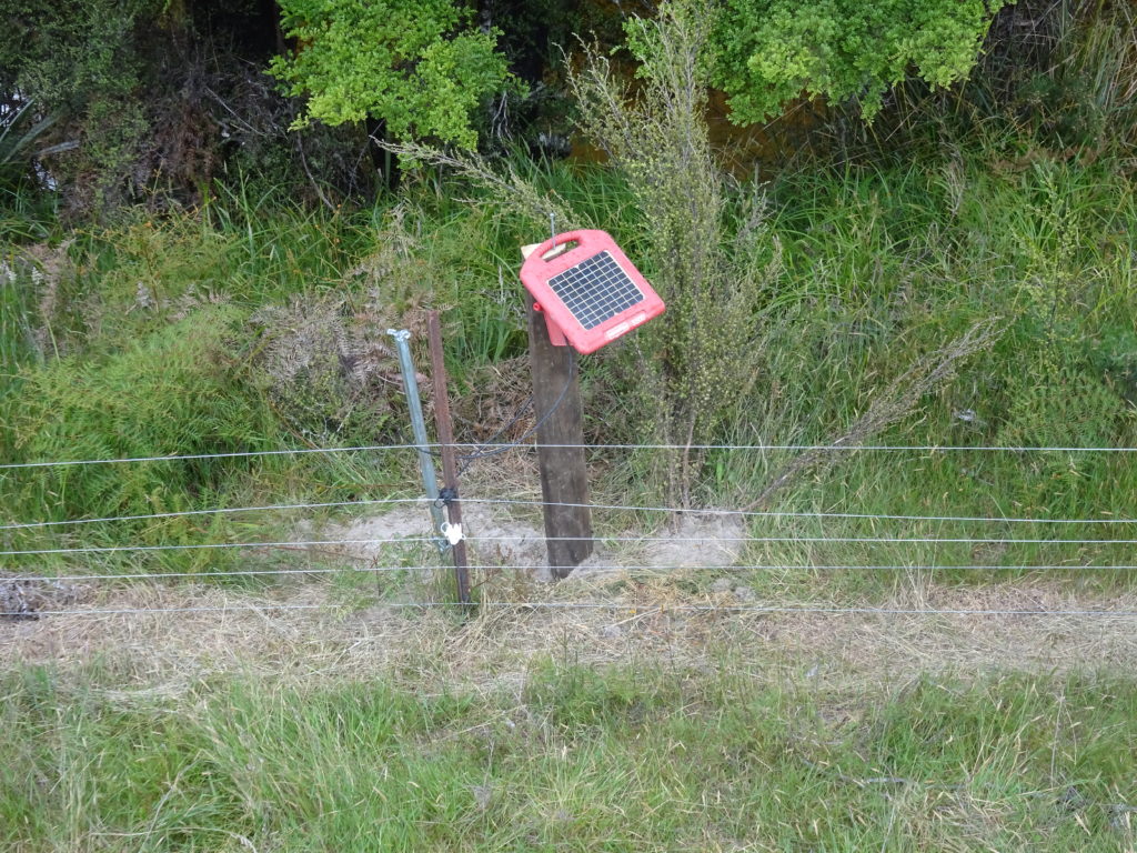 An electric fence and some ornery cattle TripleTui